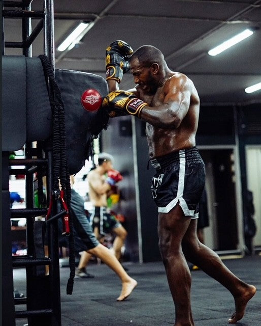 Twins FBGVL4-49 Dragon Zwart & Goud Bokshandschoenen